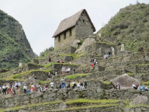 Machu Picchu3