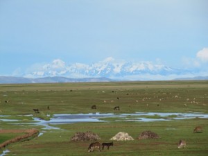 Blick auf die Cordillera Real in Bolivien