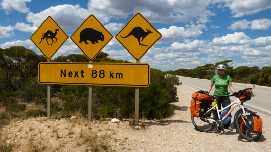 Vorsicht vor kreuzenden Kamelen, Wombats und Känguruhs!
